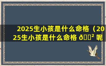 2025生小孩是什么命格（2025生小孩是什么命格 🌲 呢 🐴 ）